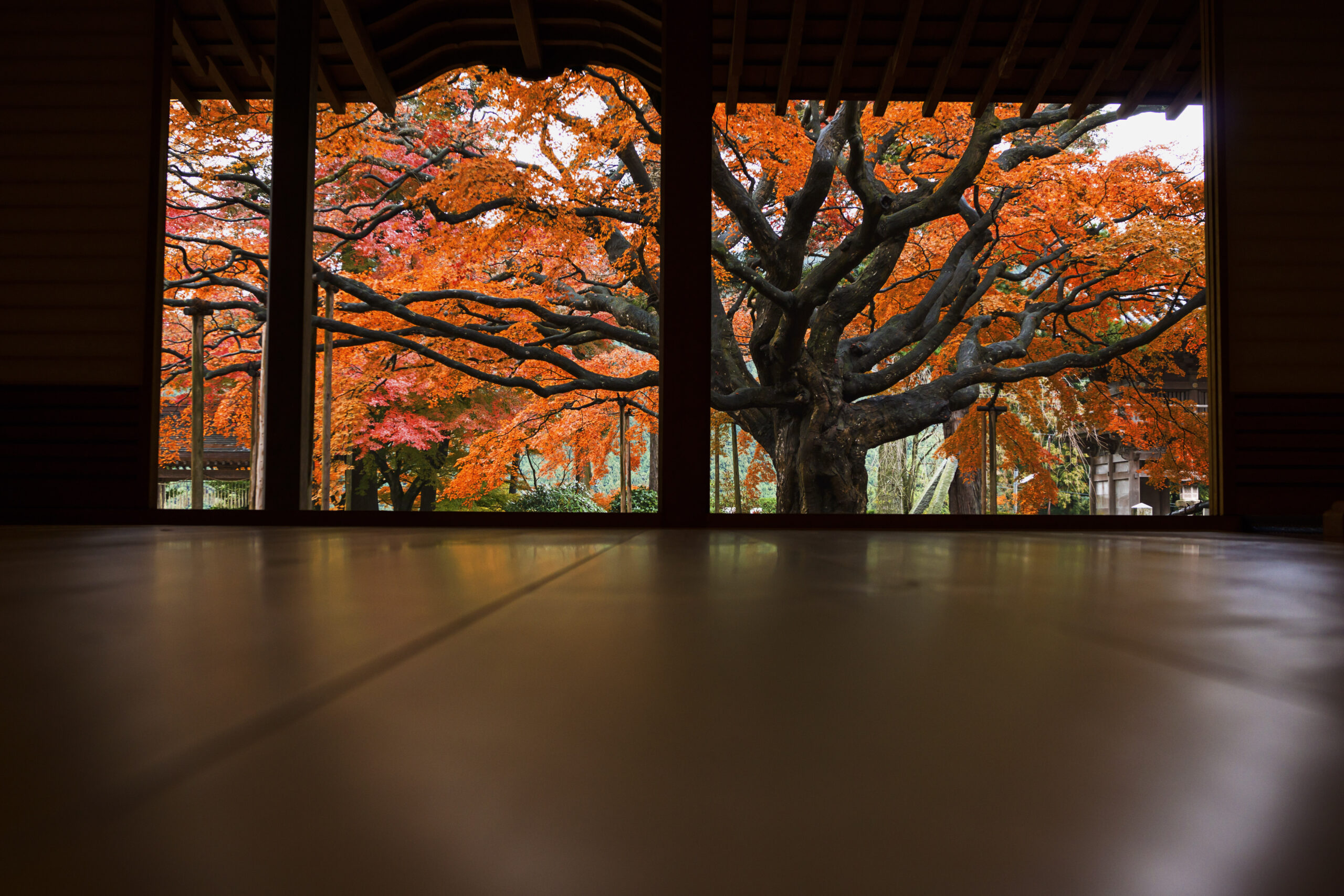 社労士ふくおか秋季号の表紙に写真を採用していただきました。